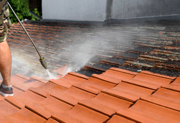 Best Exterior Home Cleaning  in Eagle Mountain, UT